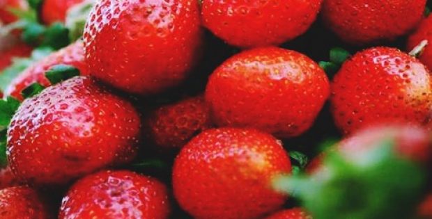 south australias first strawberries sell tray