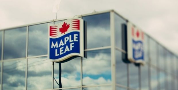 Maple Leaf